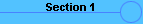 Section 1