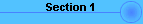 Section 1